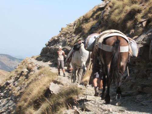 trekking con i muli-75.JPG